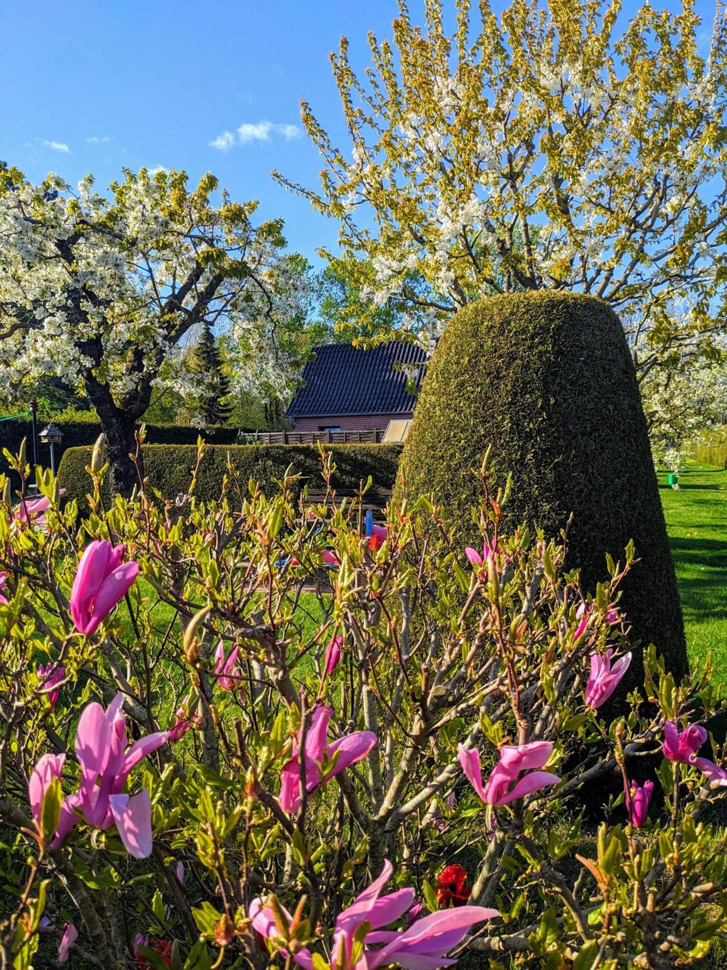 Haeuschen Im Gruenen Villa Jornstorf Kültér fotó