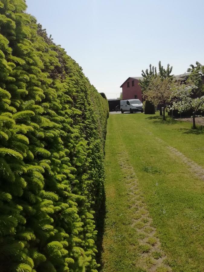 Haeuschen Im Gruenen Villa Jornstorf Kültér fotó